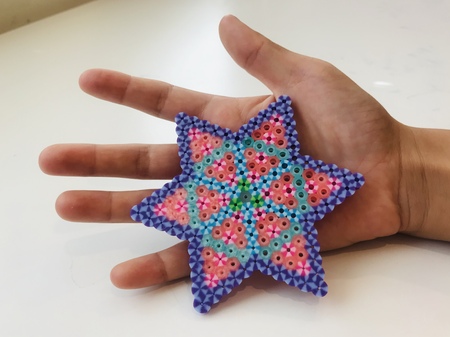 Nautilus Starfish