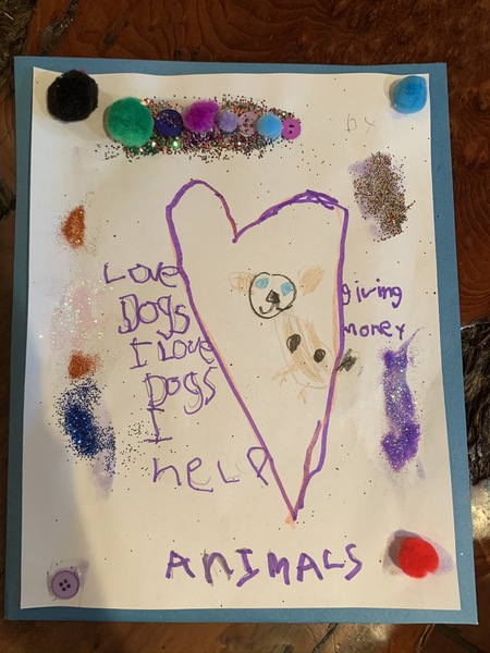 I Love Animals