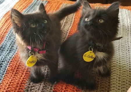 Fizzgig and Doozer