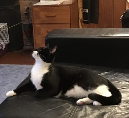 Milton