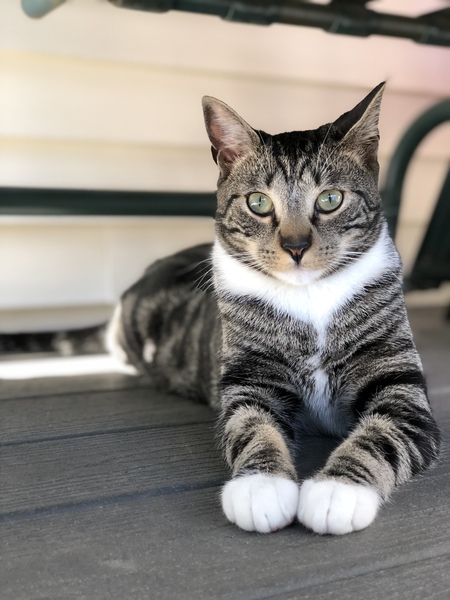 Max