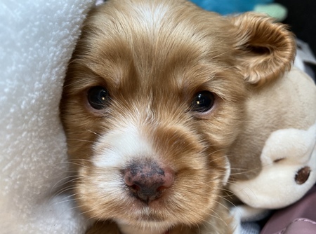 Winnie