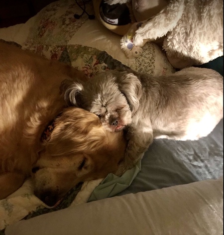 Henry & Annie
