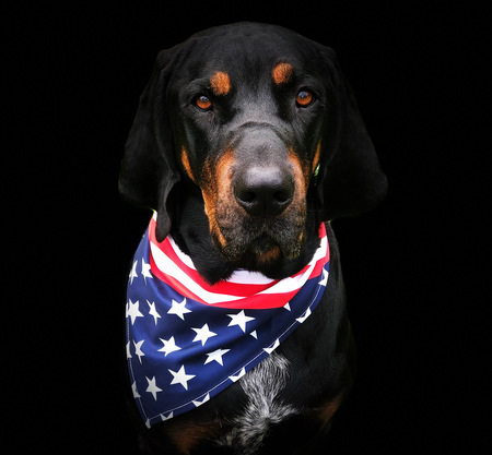 Ruger
