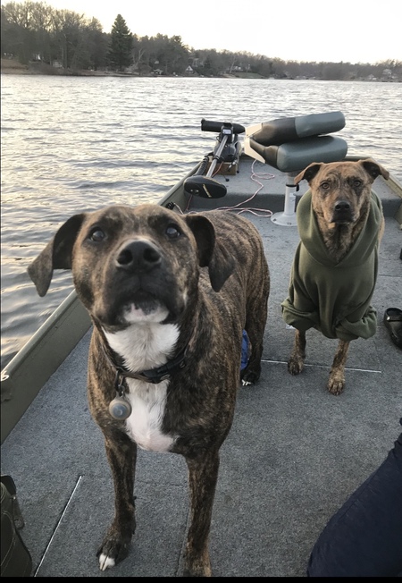 Jameson & Grizzly