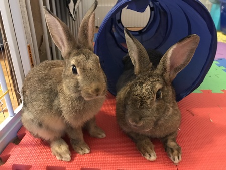 Clarence & Peggy