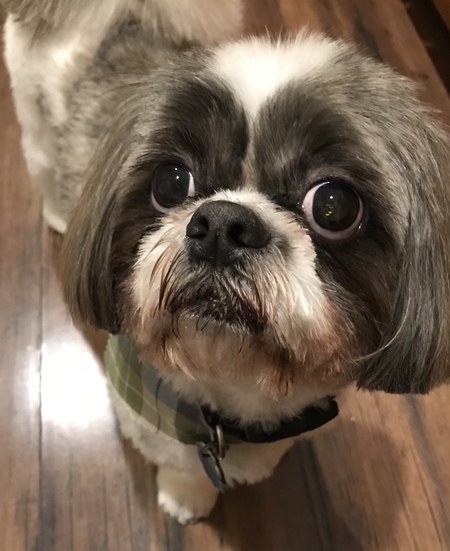 Cookie