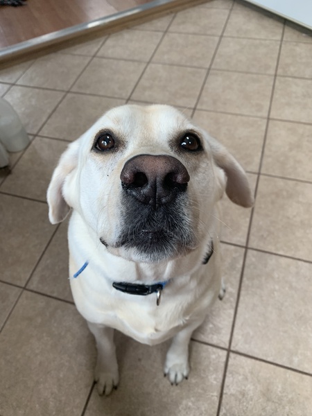 Oliver