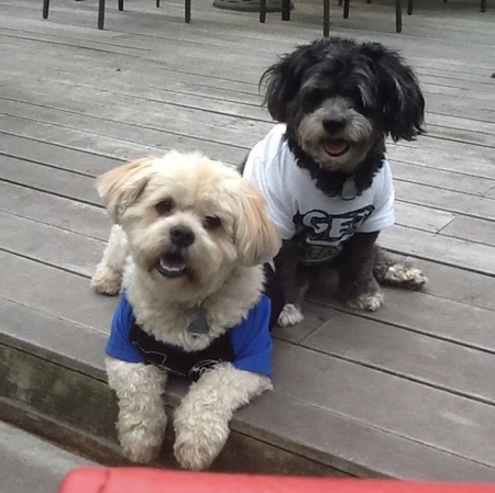George and Sammy