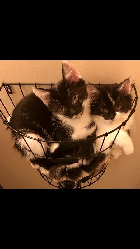 Jasper and Pippa