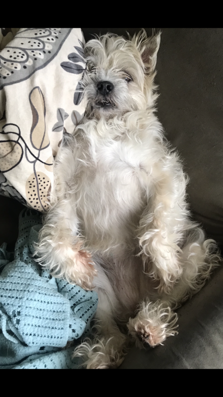 Sophie
