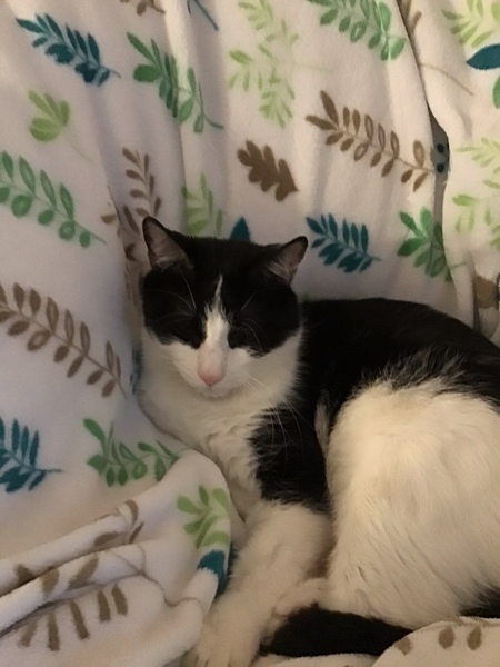 Sam