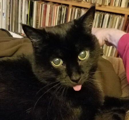 Doris