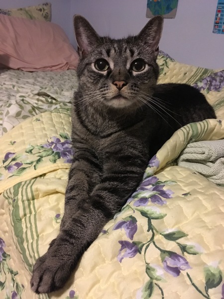 Patrick Osito Franklin