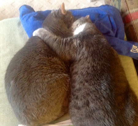 Benny & Teddi