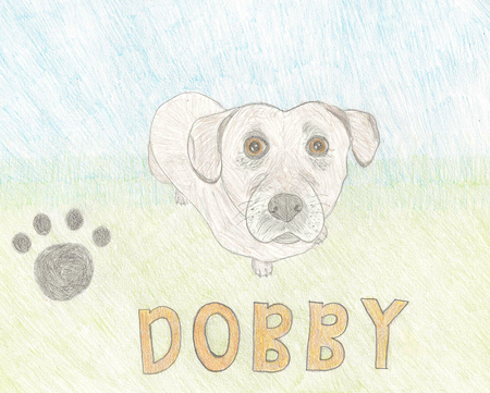 Dobby