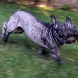 Entry image for Wrinkles