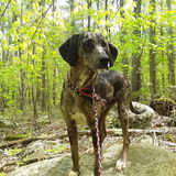 Entry image for Tinker 