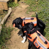 Entry image for Zac & Molly
