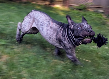 Entry image for Wrinkles. Clicking this image will show a larger photo