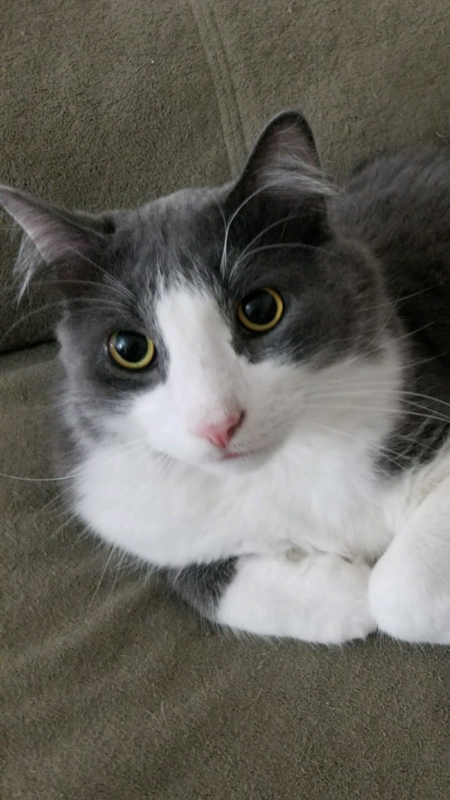 Entry image for Leonard. Clicking this image will show a larger photo