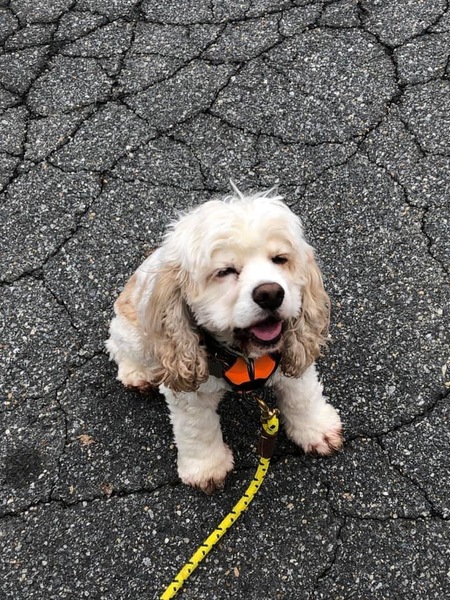 Entry image for Mochi Beerens. Clicking this image will show a larger photo