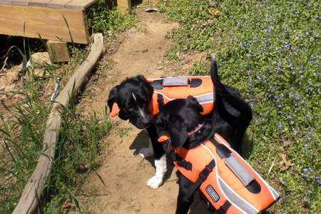 Entry image for Zac & Molly. Clicking this image will show a larger photo