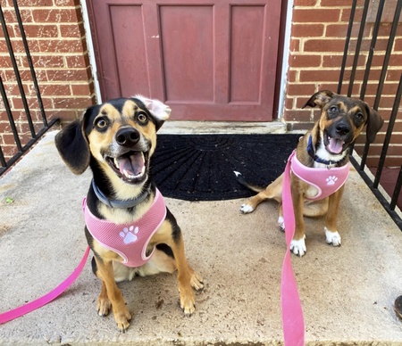 Ella & Rosie