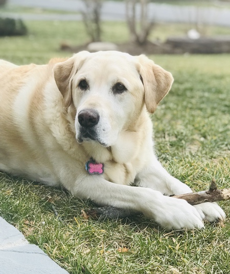 Chloe