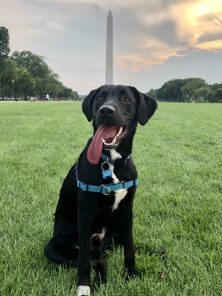 Oakley