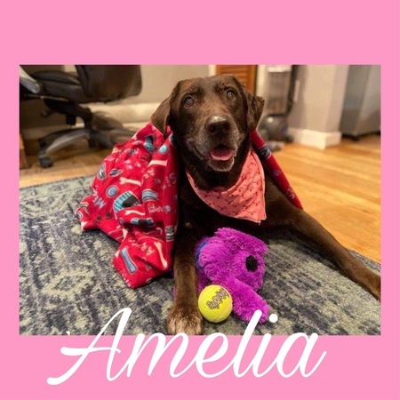 Amelia