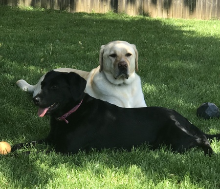 Dakota & Daisy