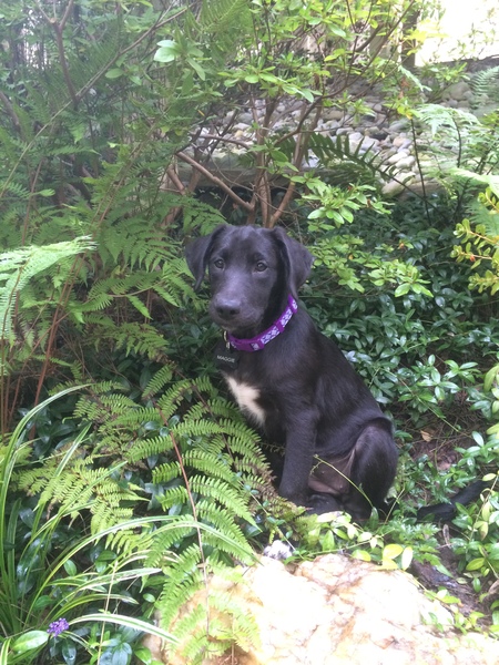 Maggie