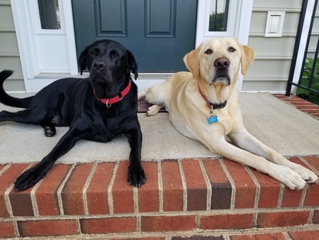 Wyatt & August