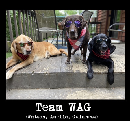 TEAM WAG 