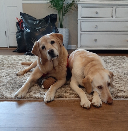 Brooke and otis