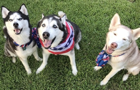 Ivanka, Ricky, and Chloe