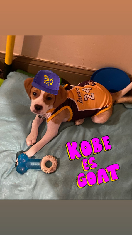 Kobe