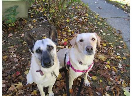 Sasha & Maggie