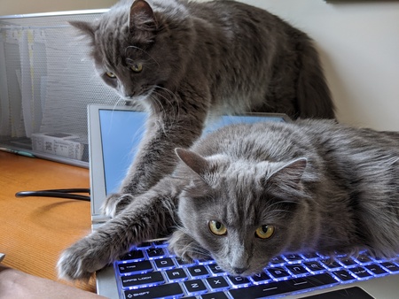 Kiva and Kira