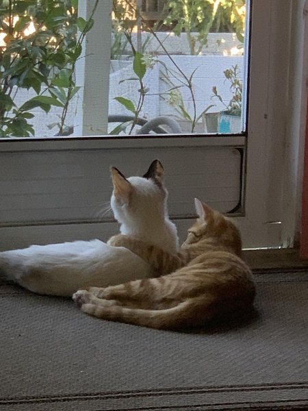 Floyd & Trixie (formerly Cheddar & Almond)