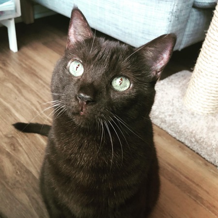 Penny