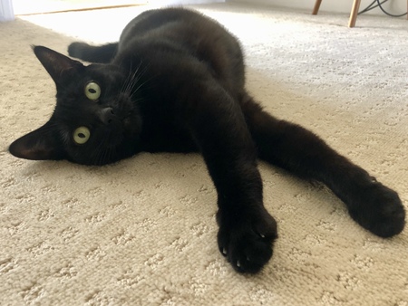 Nina