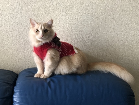 Butters (Aka: Uteri)