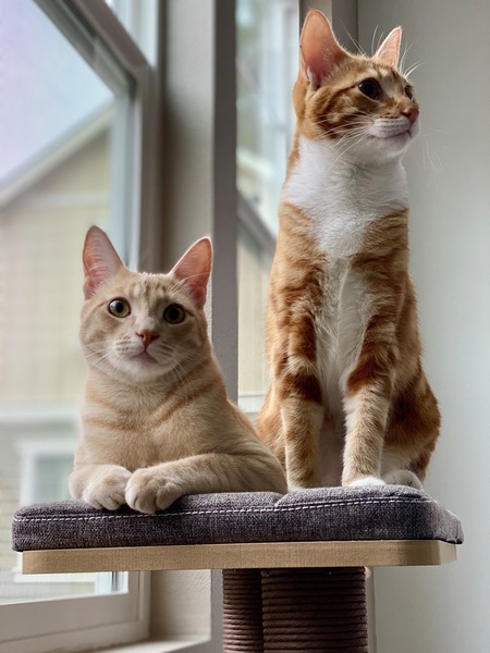 Victorino and Valen 