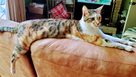 Pamela