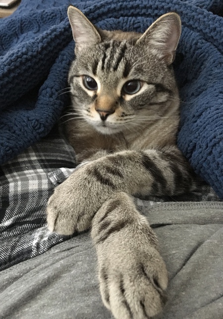 Frankie