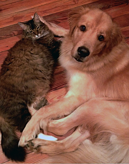 Two Socs & Dusty