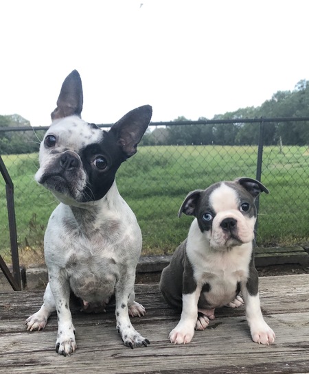Tigerlily and Yondu