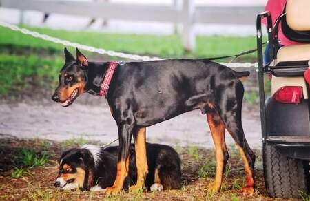 Max and Ezra